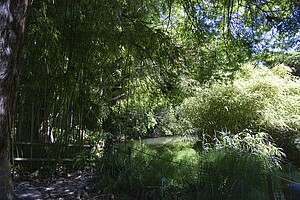 Le jardin botanique permet de se mettre au frais en cas de fortes chaleurs. Crédit photo : Catherine Schröder 