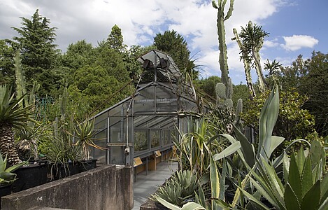 La serre des xérophytes (milieux arides) a rouvert début juin.