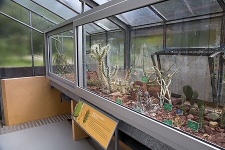 Un riche parcours leur est consacré.