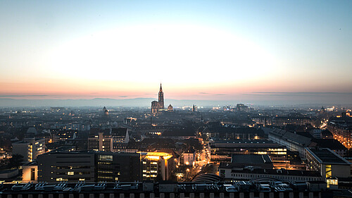 Vue sur la cathédrale depuis la tour de chimie. © Catherine Schröder - Unistra