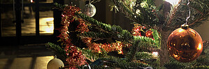 Le traditionnel sapin de Noël du Palais universitaire - Crédit photo : Catherine Schröder
