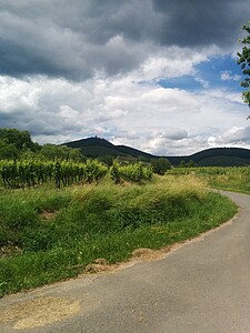Après l'effort, le réconfort : le "mittagstop" se déroule au pied du Haut-Koenigsbourg