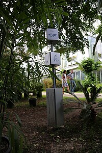 Dotés de textes, images et cartes, les totems interactifs permettent d’en savoir plus sur les arbres remarquables. Parfait pour toute la famille !