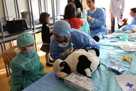Quand c’est nécessaire, dans le cas d’une fracture ou d’une appendicite par exemple, les nounours sont opérés. Les enfants sont accompagnés par le chirurgien tout au long de l’opération. Photo © Catherine Schröder - Unistra