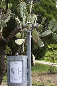 Les longues-vues permettent de zoomer sur des détails des plantes.