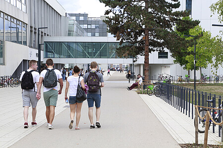 Les espèces non-exotiques, comme ici un pin noir d'Autriche, ont été privilégiées.