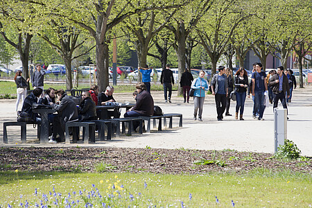 Des cheminements piétons et du mobilier urbain ont remplacé l'ancien parking.