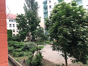 Houssem a passé tous les confinements dans son studio strasbourgeois.