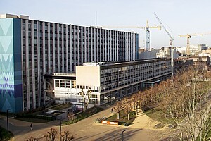 Crédit photo : Catherine Schroder / Université de Strasbourg