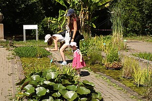 Le jardin botanique est propice à bien des découvertes. Crédit photo : Catherine Schröder