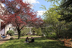Le patio qui a donné son nom au bâtiment qui l'entoure - Crédit photo : Catherine Schroder / Université de Strasbourg